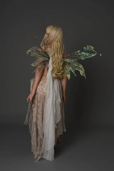 Full Length Portrait Blonder Wearing Fairy Costume Standing Pose Back — Stock Photo, Image