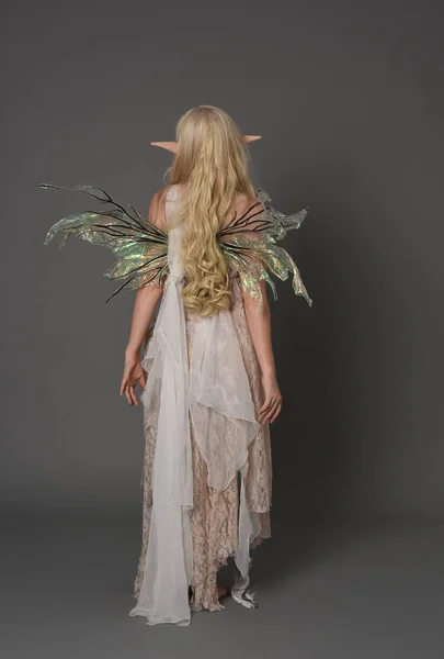 Full Length Portrait Blonder Wearing Fairy Costume Standing Pose Back — Stock Photo, Image