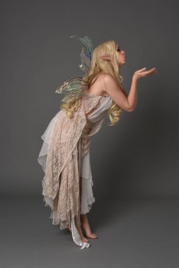 tam uzunlukta portre sarışın kız fantezi peri giyinen, ayakta poz. gri studio arka plan.