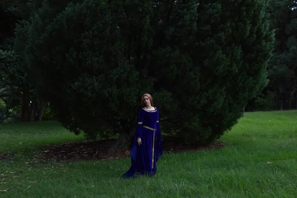 Retrato Comprimento Total Menina Vestindo Longo Vestido Medieval Azul Vagando — Fotografia de Stock