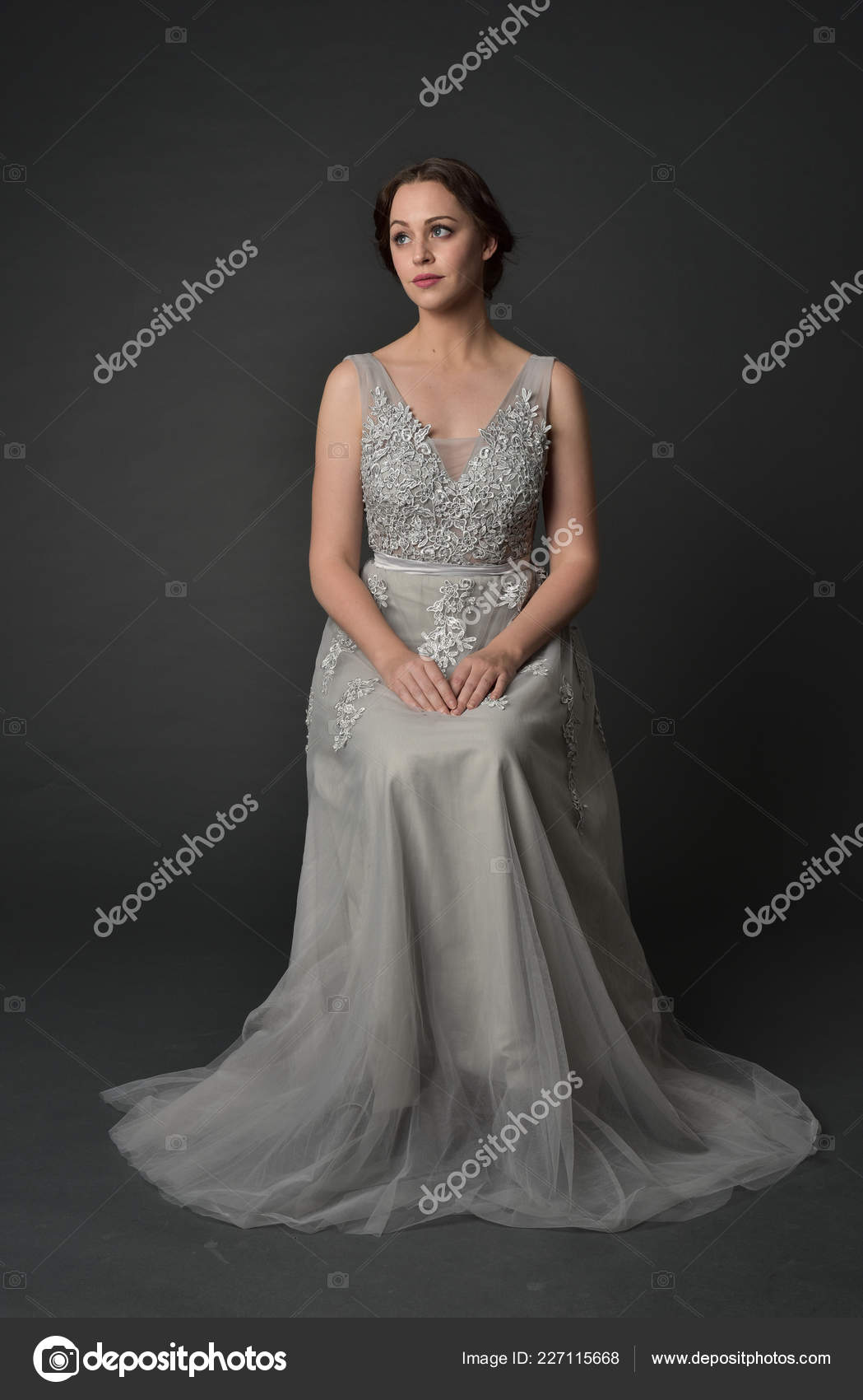 Full Length Portrait Brunette Girl Wearing Long Silver Ball Gown Stock ...