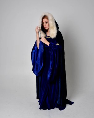 Altın taçlı, uzun mavi kadife bir elbise giyen kızın tam boy portresi. Oturma pozu, stüdyo arka planında izole..