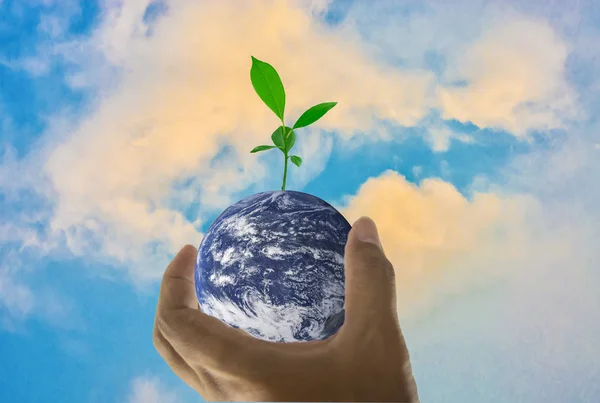 Earth, in a handful, with trees growing on top, With the bright sky as the background,  Concept of human being is a natural healer, Elements of this image furnished by NASA.