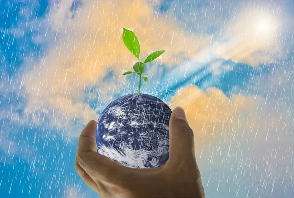 Earth, in a handful, with trees growing on top, With bright sky as the background and rain, Elements of this image furnished by NASA.