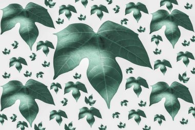 Beyaz arka plan üzerinde koyu yeşil yaprak şekli. 