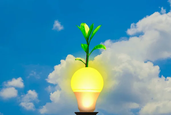 Yellow light bulb floating in the sky, trees growing on top, with energy saving concept and global warming.