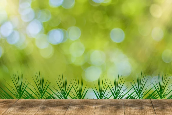 Träbalkong Palmblad Och Morgonsolen Med Gula Och Gröna Bokeh Bakgrund — Stockfoto