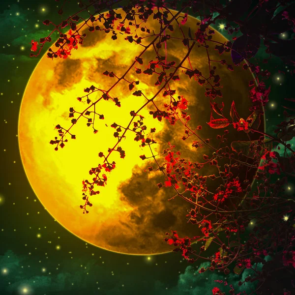 Cielo Notturno Romantico Con Una Grande Luna Arancione Foglia Rossa — Foto Stock