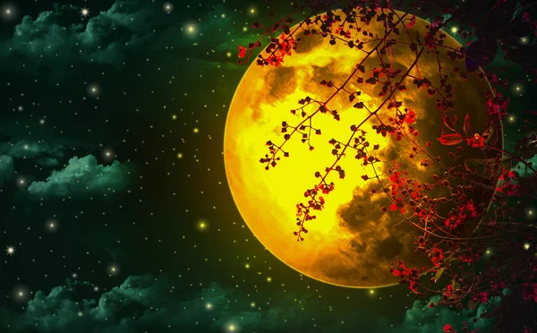 夜的天空是浪漫的 有一个大橙色的月亮和红色的叶子 漂浮美丽 看起来像童话场景之一 — 图库照片