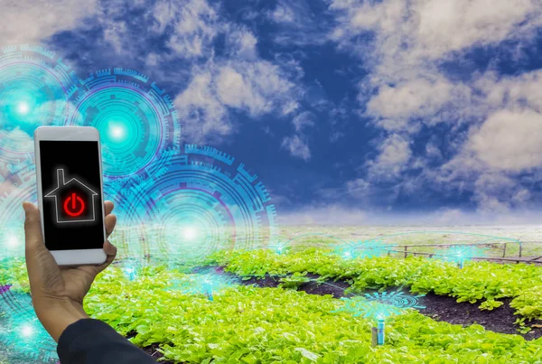 Smartphone in hand, and on / off button, With control of organic organic vegetables farms, With  symbol  technological advancement of modern technology and beautiful landscapes, concept food security, trade and investment in agricultural futures in t