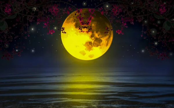 Amore Drammatico Nella Notte Luna Piena Rami Alberi Fiori Riflesso — Foto Stock