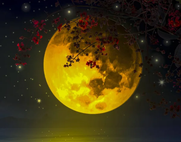Amor Dramático Noite Lua Cheia Ramos Árvores Flores Reflexão Água — Fotografia de Stock