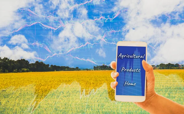 Mano Celebración Teléfonos Inteligentes Campos Oro Fondo Gráficos Que Muestran — Foto de Stock