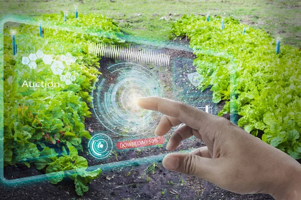 İşadamları parmak dokunmatik arayüz ekranı, müzayede agricultu kullanın