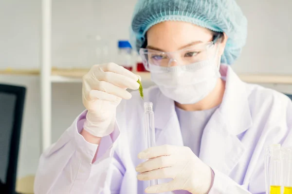 Scientifique ou jeune chimiste féminine a testé le bouquet d'algues i — Photo