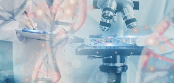 Doktor veya bilim adamı mikroskop kullanır, içinde moleküler ve DNA yapısı ve kırmızı kan hücreleri örneği, konsept sağlık, tıbbi, bilim, teknolojik gelişim uygulaması biyolojik sistem