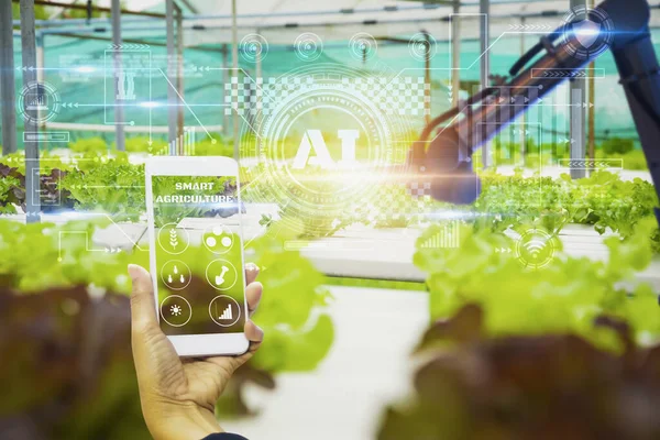 Akıllı çiftçi yapay zeka ya da yapay zeka ya da yapay zeka teknolojisine sahip akıllı telefon, sistem kontrol robotu, robotik kol kullanarak kalite ve hasat tarım ürünü, uydu izleme teknolojisi tarımı