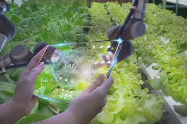 Çiftçiler robotik silah hasadını incelemek için fütüristik tablet kullanırlar. Tarım ürünü sebze çiftliği, konsept teknoloji tarım endüstrisi 4.0 ile yapay zeka veya yapay zeka