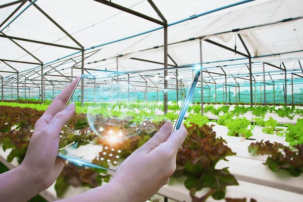 Hand Holding Futuristic Tablet Organic Farm Background Concepts Agricultural Product — Stockfoto