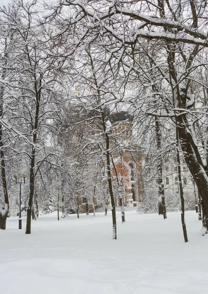 Cerkiew Pokrytym Śniegiem Parku Chłodnym Zimowym Dniu Izmaylovskiy Wyspa Moskwie — Zdjęcie stockowe