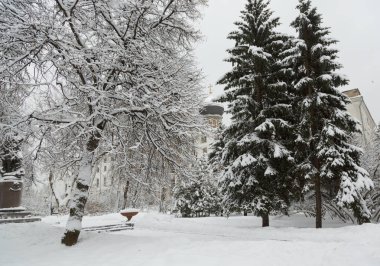 Soğuk bir kış gününde karla kaplı bir parkta Ortodoks Kilisesi. Moskova'daki Izmaylovskiy adası, Rusya Federasyonu
