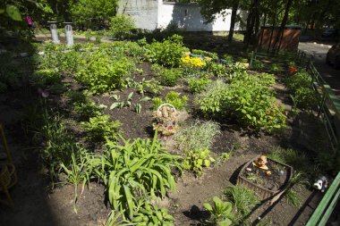 Moskova'da evin sakinleri tarafından yapılan çiçek yatak