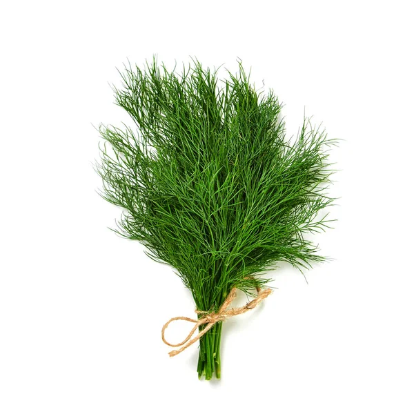 Bunch Dill Isolated White Background Green Fresh Ecological Dill Knitted Royalty Free Stock Photos