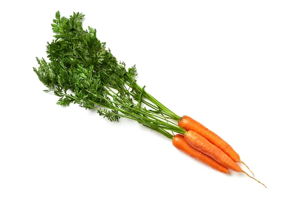 Carrots White Background Carrots Tops Leaves Isolated Nature Carrot Royalty Free Stock Images