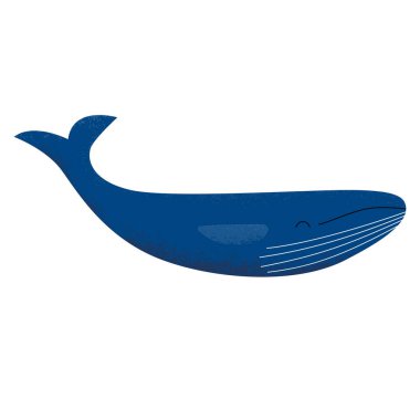 Tanıdık bir yüz ile izole mavi kambur balina dokulu vektör çizim.