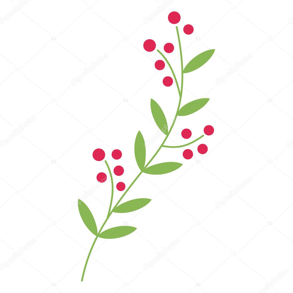Vector illustration of an isolated simple green vine with red berries.