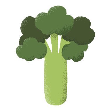İzole brokoli dokulu vektör çizim.