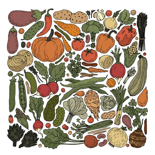 Verduras Colección Colorida Vintage — Vector de stock