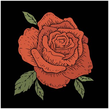 Kırmızı vintage gül bitki