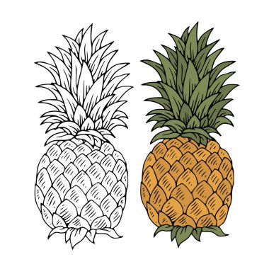 renkli mürekkep ananas seti