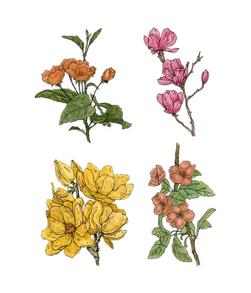 Μελάνι Ακουαρέλα Λουλούδια Συλλογή — Διανυσματικό Αρχείο