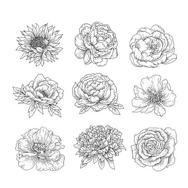 mürekkep çiçek koleksiyonu ayarla