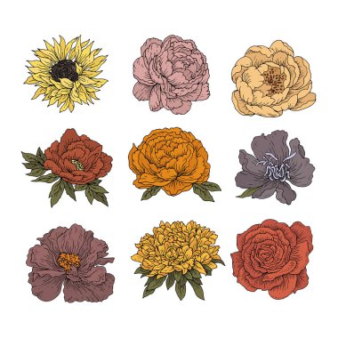 renkli mürekkep çiçekleri seti