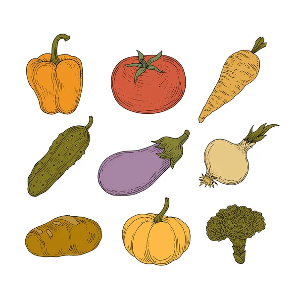 Neun Gemüse Vitamine Ernte Symbole — Stockvektor
