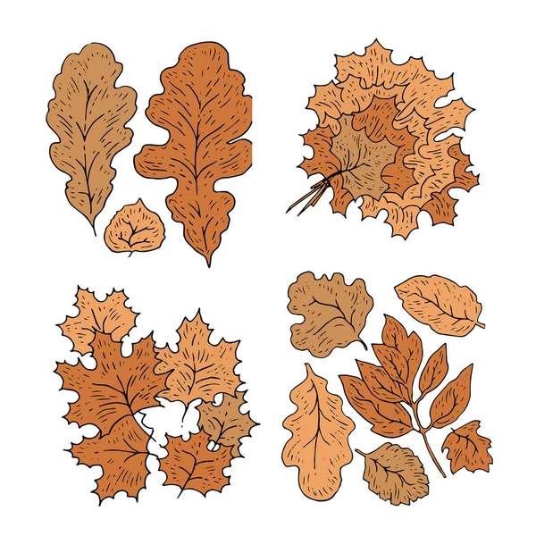 Πορτοκαλί Φθινόπωρο Φύλλα Συλλογή Σειρά — Διανυσματικό Αρχείο