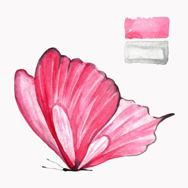 Pembe kelebek. Suluboya. Bir hayvan izole bir çizim. El yapımı illüstrasyon.
