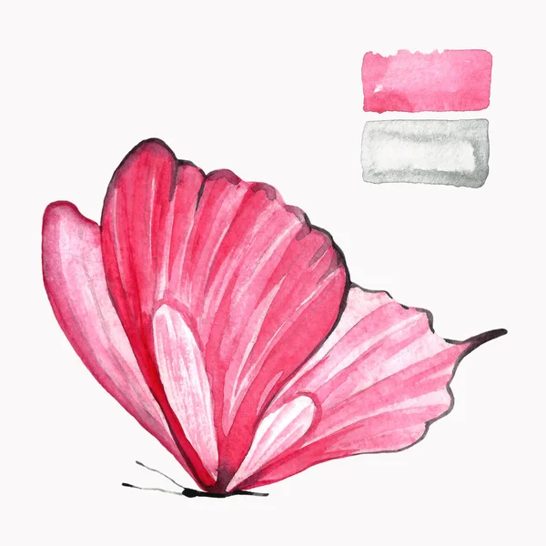 Papillon Rose Aquarelle Dessin Isolé Animal Illustration Faite Main — Photo