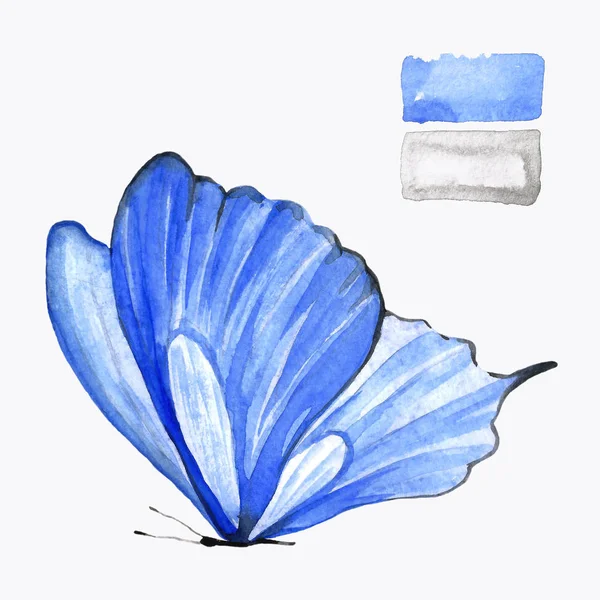 水彩で青い蝶 動物の隔離された図面 手作りの図 — ストック写真