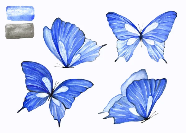 Collection of blue butterflies in watercolor. An isolated drawing of an animal. Handmade illustration.