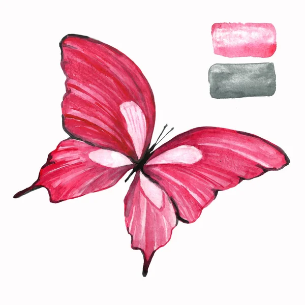 Rosa Fjäril Akvarell Isolerad Ritning Ett Djur Handgjorda Illustration — Stockfoto