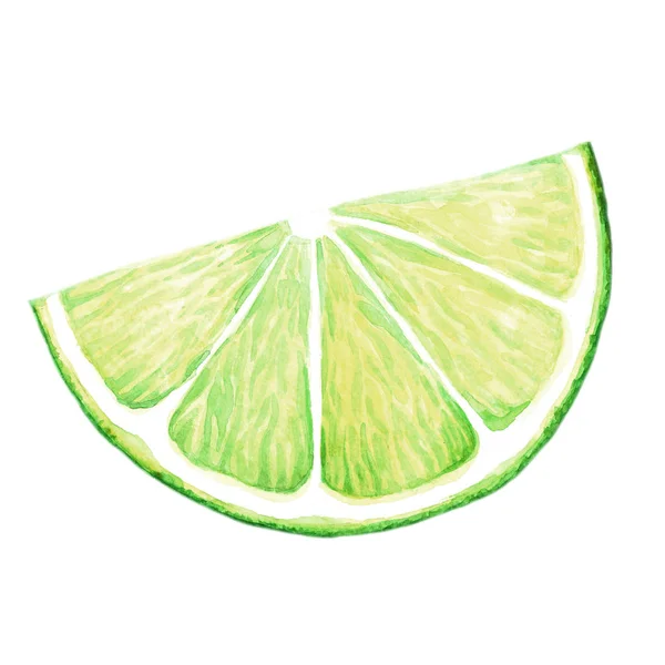 Morceau Citron Vert Aquarelle Illustration Agrumes Frais Dessin Isolé Sur — Photo