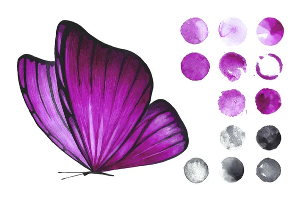 水彩のピンク分離蝶白い背景と色のついた丸のセット 手作りの動物イラスト 飛んでいる虫 装飾のためのオブジェクト — ストック写真