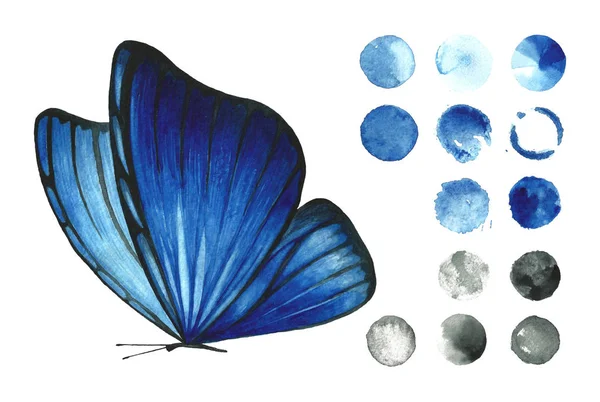 Aquarell Blauer Isolierter Schmetterling Auf Weißem Hintergrund Und Einer Reihe — Stockfoto