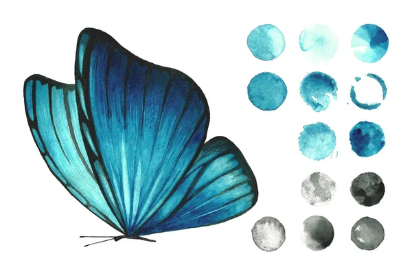 Aquarelle Papillon Isolé Bleu Clair Sur Fond Blanc Ensemble Cercles — Photo