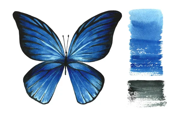 Акварельно Синий Изолированный Бабочка Белом Фоне Цвет Растяжения Ручная Иллюстрация — стоковое фото