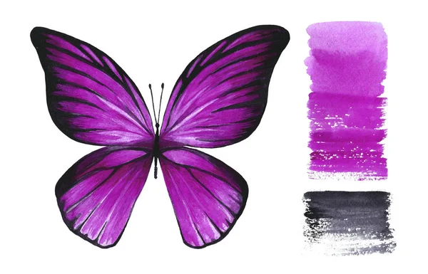 水彩のピンク分離蝶白い背景と色のストレッチします 手作りの動物イラスト 飛んでいる虫 装飾のためのオブジェクト — ストック写真